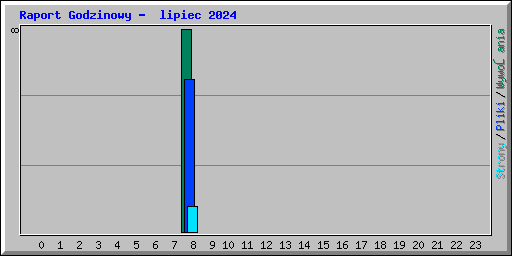 Raport Godzinowy - lipiec 2024